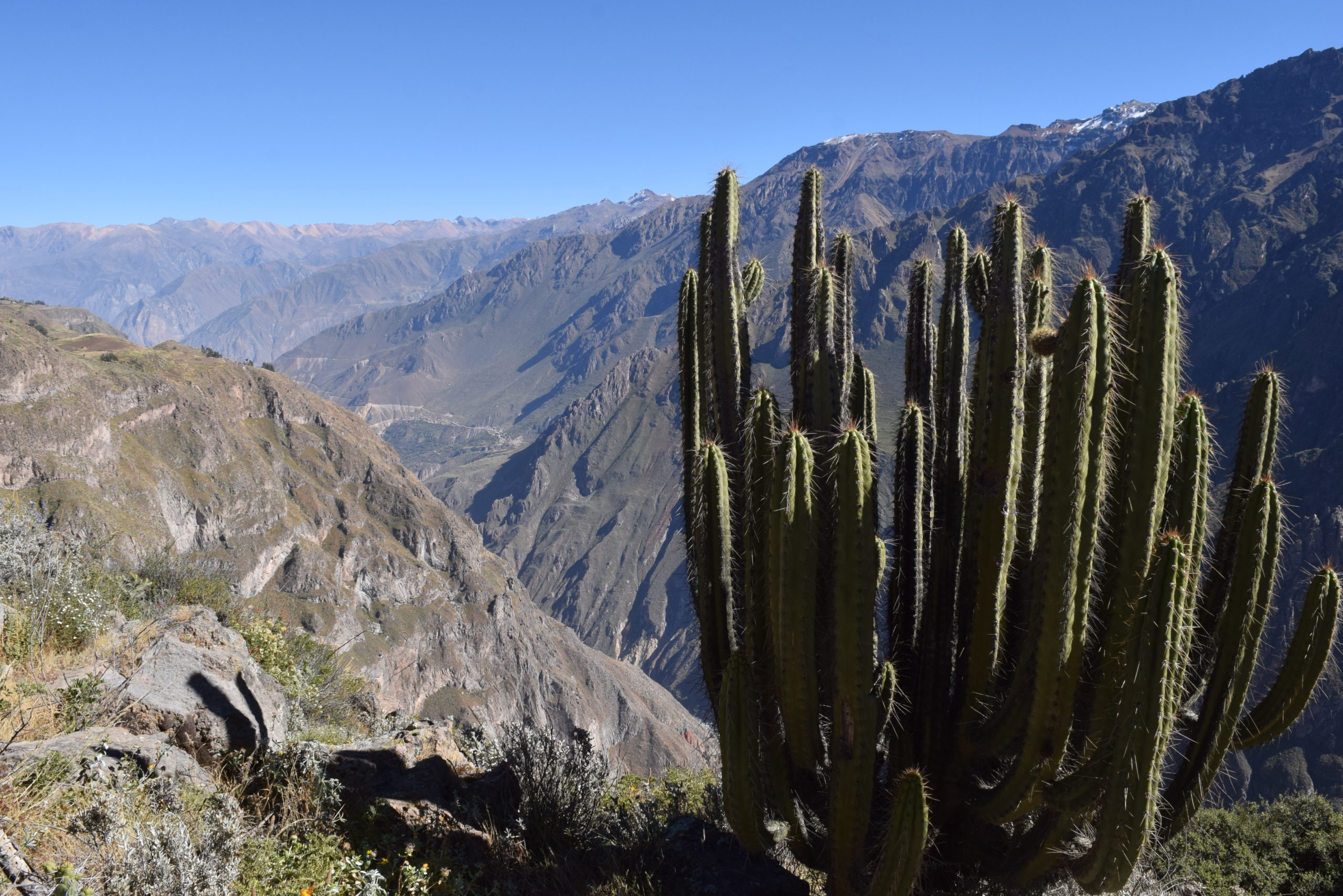 Aussicht auf Colca Tal in Peru
